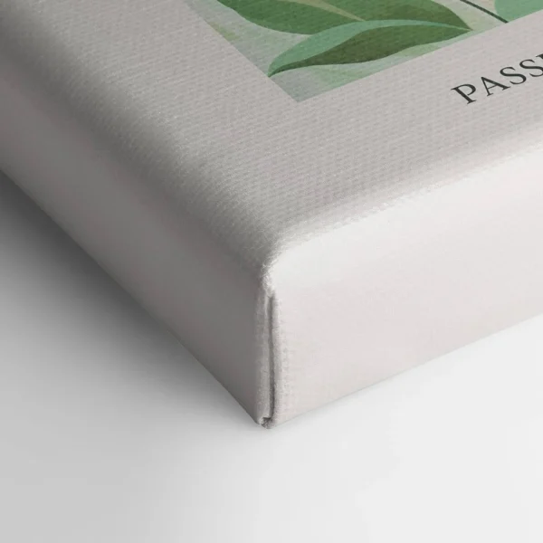 Oleka Canvas Canvas - Planti Verdi* Canvases