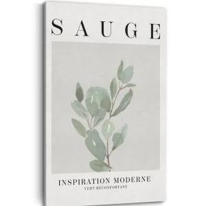 Kozy X Oleka Canvas - Sauge* Canvases