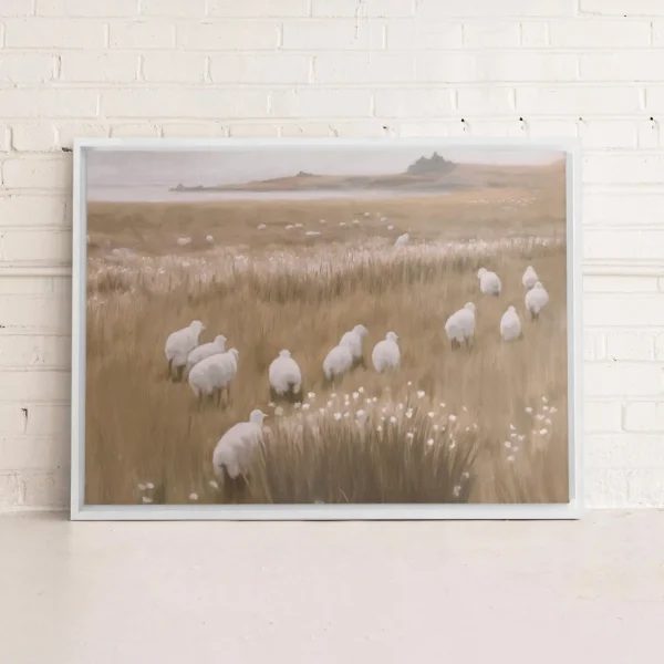 Oleka Canvas Canvas - Sherperd's Rest* Canvases