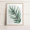 Kozy X Oleka Canvas - Tropical I* Canvases