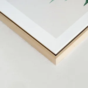 Kozy X Oleka Canvas - Tropical I* Canvases