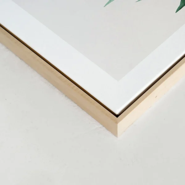 Kozy X Oleka Canvas - Tropical I* Canvases