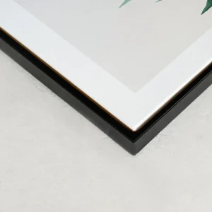 Kozy X Oleka Canvas - Tropical I* Canvases