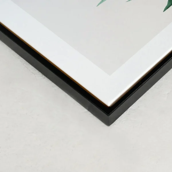 Kozy X Oleka Canvas - Tropical I* Canvases