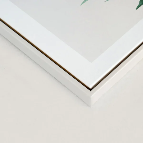 Kozy X Oleka Canvas - Tropical I* Canvases