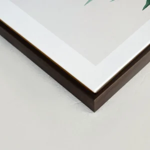 Kozy X Oleka Canvas - Tropical I* Canvases