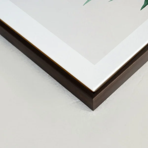 Kozy X Oleka Canvas - Tropical I* Canvases