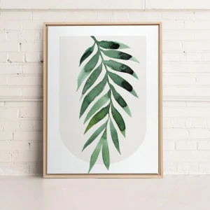 Kozy X Oleka Canvas - Tropical Ii* Canvases