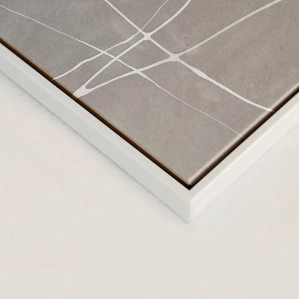 Oleka Canvas Canvas - Web* Canvases