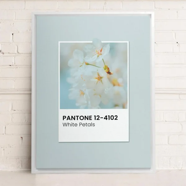 Oleka Canvas Canvas - White Petals* Canvases