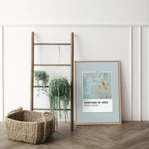 Oleka Canvas Canvas - White Petals* Canvases