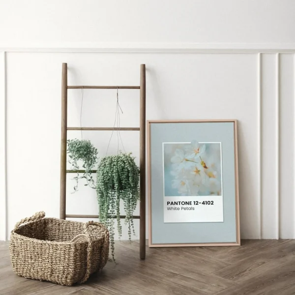 Oleka Canvas Canvas - White Petals* Canvases
