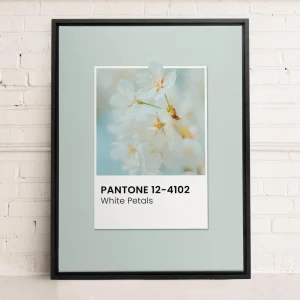 Oleka Canvas Canvas - White Petals* Canvases