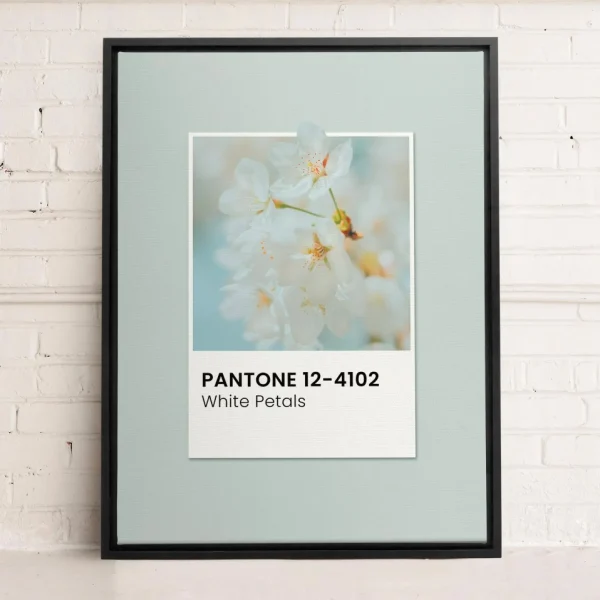Oleka Canvas Canvas - White Petals* Canvases