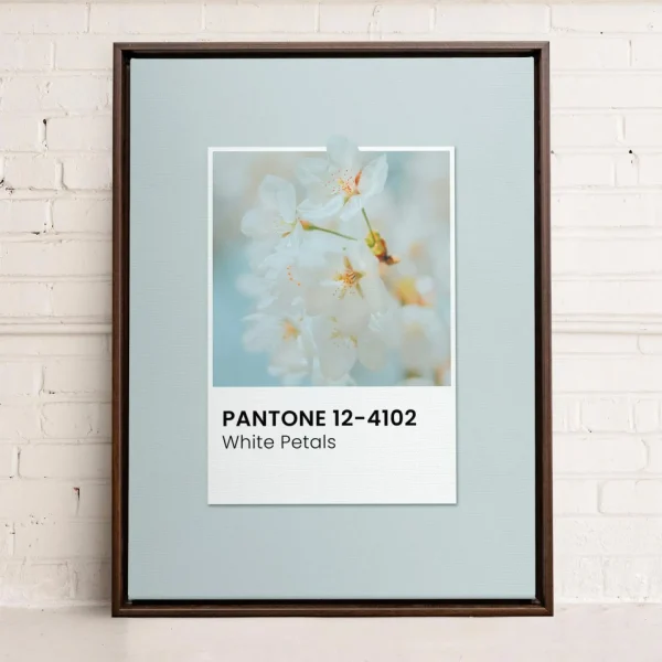 Oleka Canvas Canvas - White Petals* Canvases