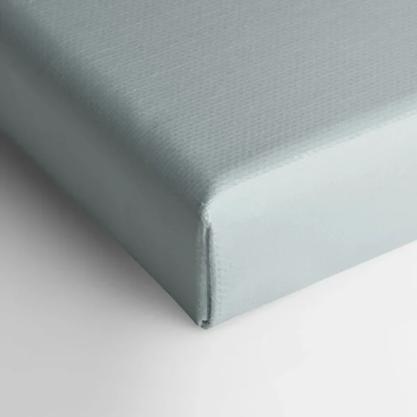 Oleka Canvas Canvas - White Petals* Canvases