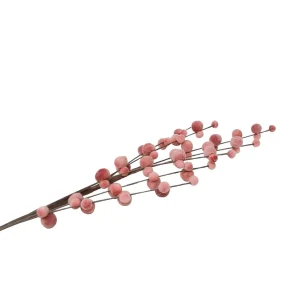 Nostalgia Import Catkins Stem - Pink* Dried Stems & Flowers