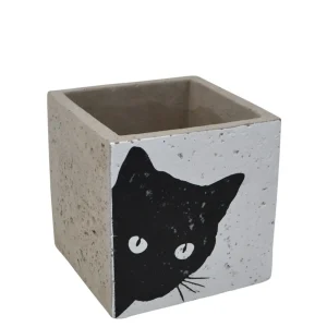 Nostalgia Import Cement Pot - Cat* Vases & Pots