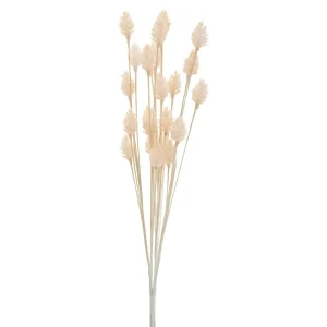 Group ADV Cone Male - Cream* Dried Stems & Flowers