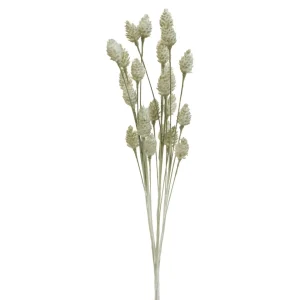 Group ADV Cone Male - Grey* Dried Stems & Flowers