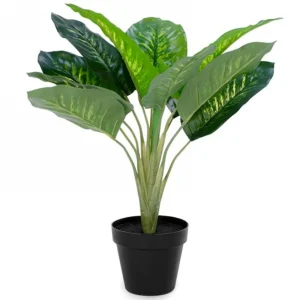Attitudes Import 2 Decorative Plant In Pot* Arrangements