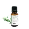 Agence K Essential Oil - Eucalyptus Globulus* Essential & Scented Oils