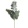 Attitudes Import 2 Eucalyptus Branch* Greenery