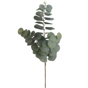 Attitudes Import 2 Eucalyptus Branch* Greenery