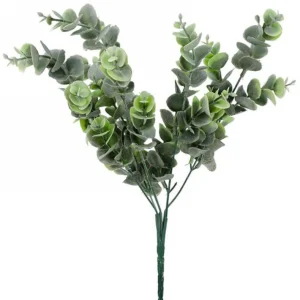 Attitudes Import 2 Eucalyptus Stem* Greenery