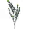 Attitudes Import 2 Eucalyptus Stem* Greenery