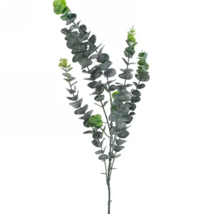 Attitudes Import 2 Eucalyptus Stem* Greenery