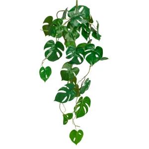 Torre Tagus Falling Plant - Monstera* Greenery