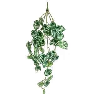 Torre Tagus Falling Plant - Peperomia* Greenery