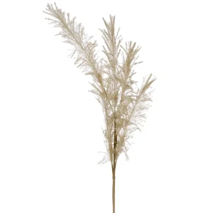 Attitudes Import 2 Feather Branch - Beige* Dried Stems & Flowers
