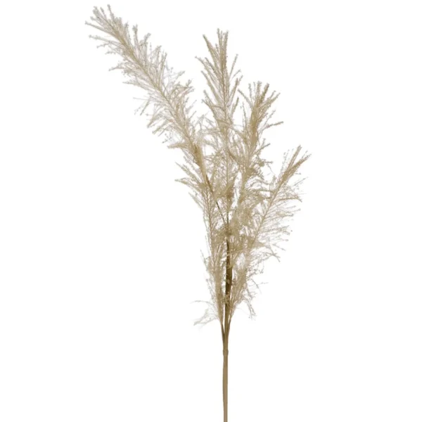 Attitudes Import 2 Feather Branch - Beige* Dried Stems & Flowers