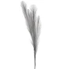 Attitudes Import 2 Feather Branch - Grey* Dried Stems & Flowers