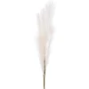 Attitudes Import 2 Feather Branch - Salmon* Dried Stems & Flowers