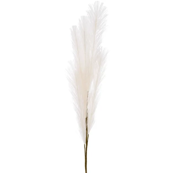 Attitudes Import 2 Feather Branch - Salmon* Dried Stems & Flowers