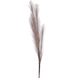 Attitudes Import 2 Feather Branch - Taupe* Dried Stems & Flowers