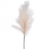 Attitudes Import 2 Feather Stem - Beige* Dried Stems & Flowers