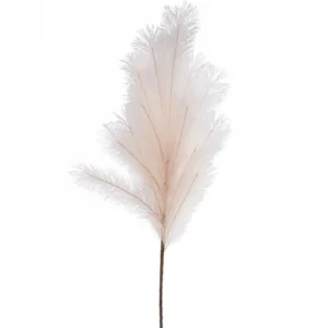 Attitudes Import 2 Feather Stem - Beige* Dried Stems & Flowers