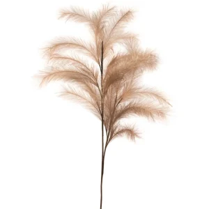 Attitudes Import Feather Stem - Natural* Dried Stems & Flowers
