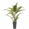 Nostalgia Import Fern In Large Pot - Grey* Arrangements