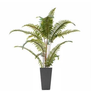 Nostalgia Import Fern In Large Pot - Grey* Arrangements