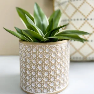 Nostalgia Import Flower Pot - Camors* Vases & Pots