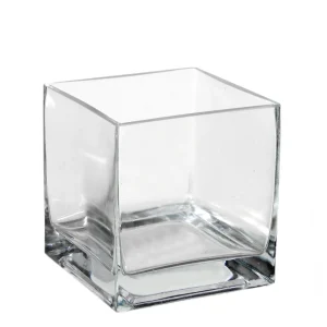 Danson Decor Glass Vase - Square* Vases & Pots
