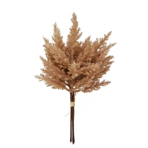 Nostalgia Import Grass Stems - Natural* Dried Stems & Flowers