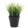 Attitudes Import 2 Green Plant In Pot* Arrangements