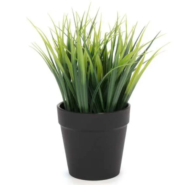 Attitudes Import 2 Green Plant In Pot* Arrangements
