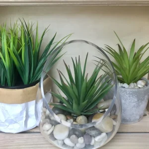 Attitudes Import 2 Green Plant In Pot* Arrangements